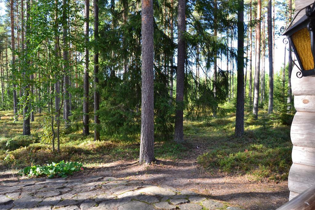 Forest Cottage Säkylä Cameră foto