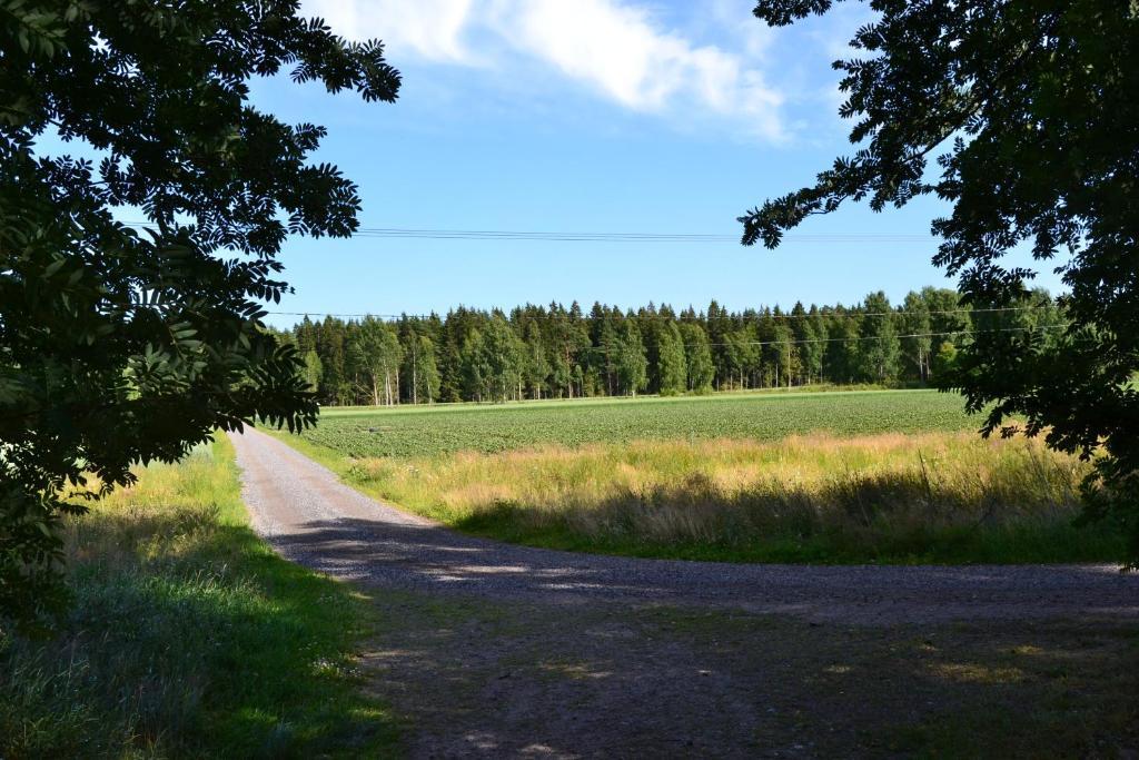 Forest Cottage Säkylä Cameră foto